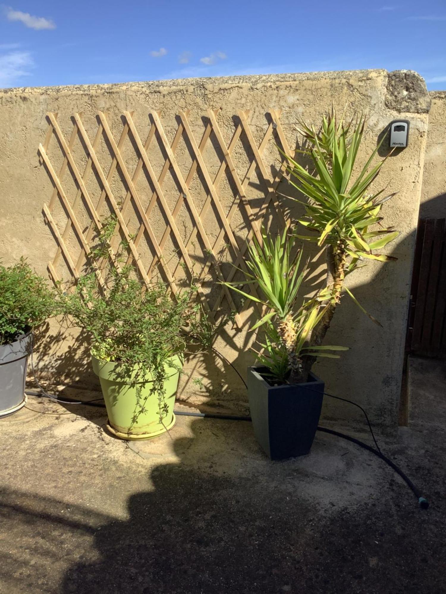 Le Figuier Apartment Tulette Exterior photo